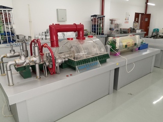 300MW亚临界汽轮发电机组模型